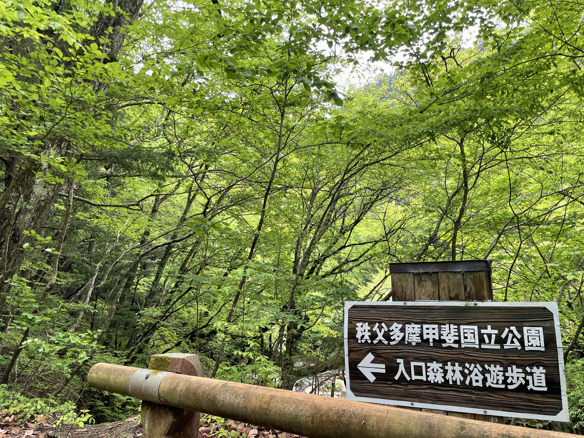 秩父多摩甲斐国立公園 山梨県