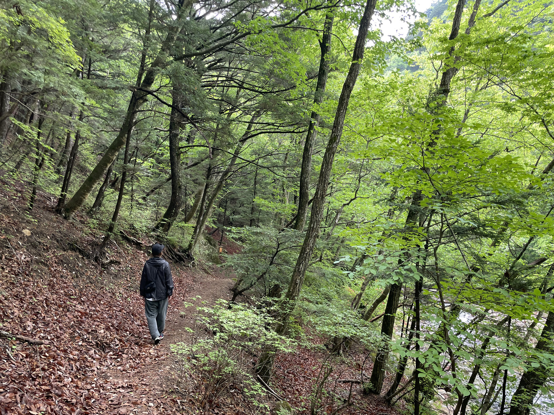 秩父多摩甲斐国立公園 山梨県