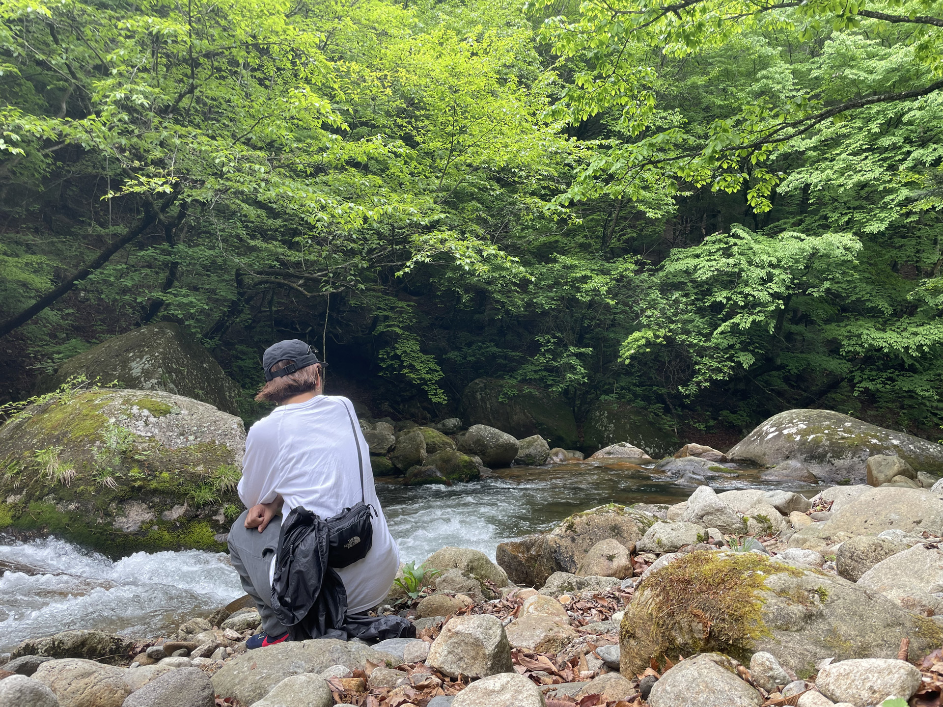 秩父多摩甲斐国立公園 山梨県