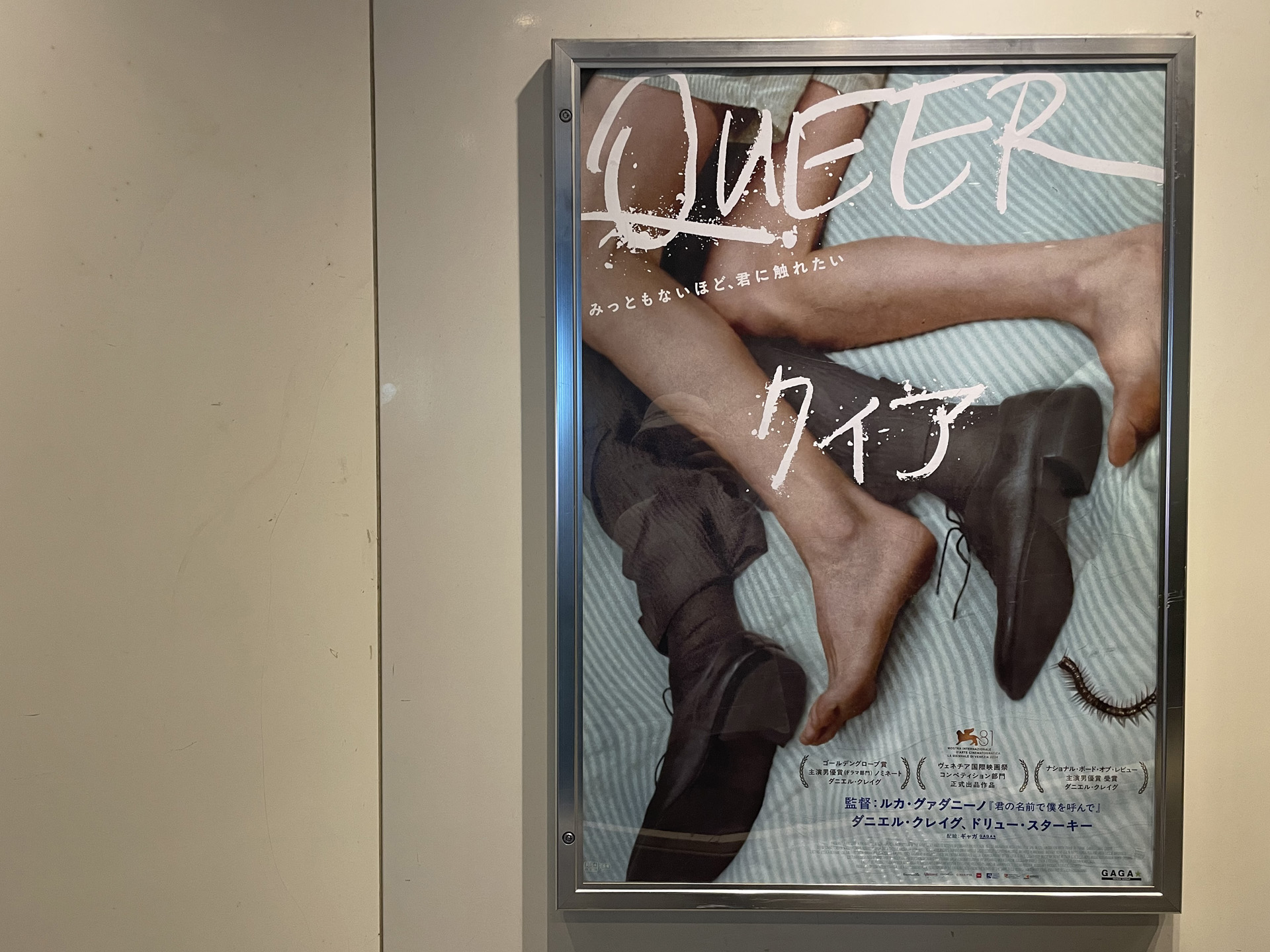 クィア 映画 QUEER