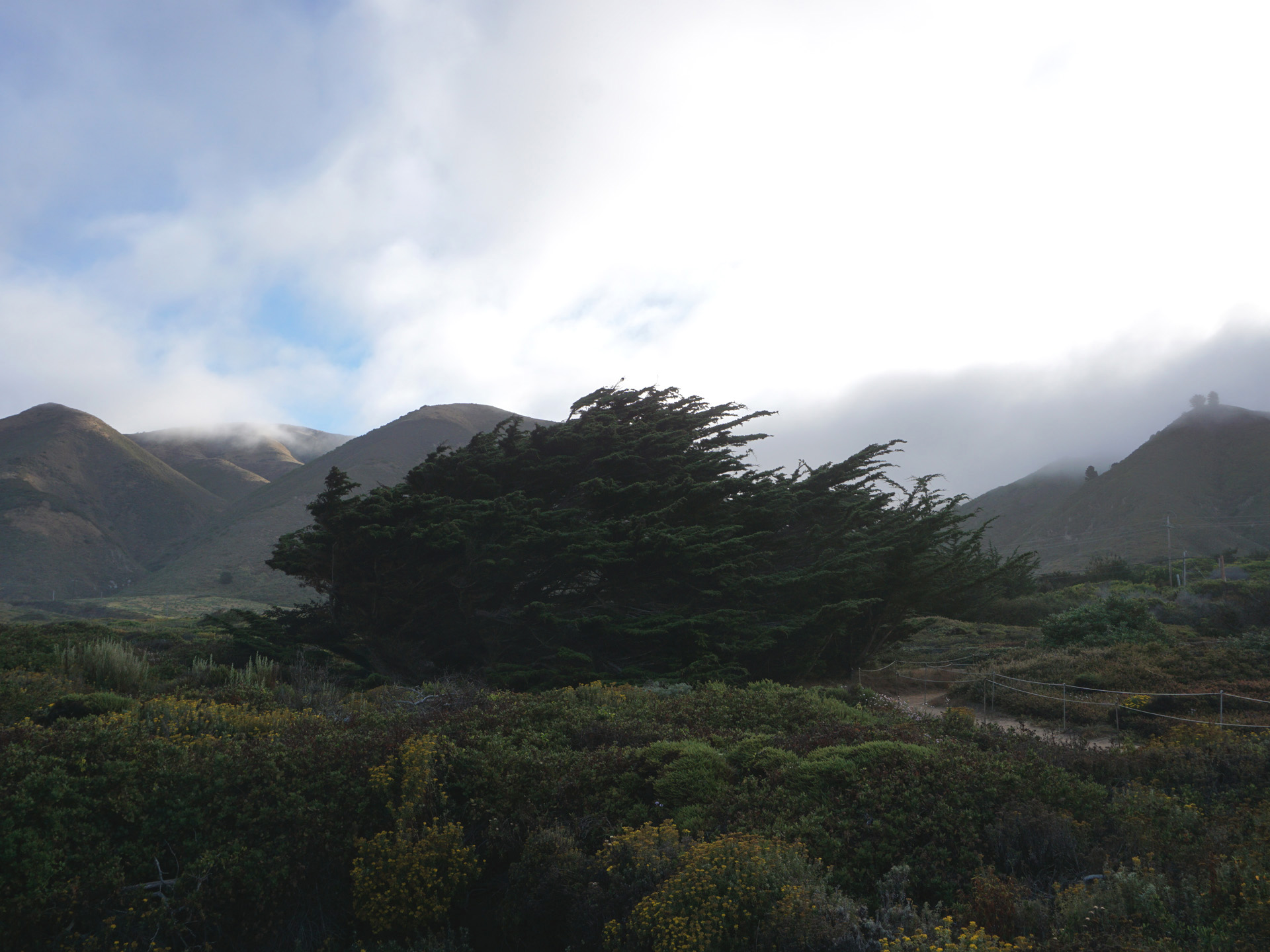 ニュートラル ビッグサー NEUTRAL BIGSUR