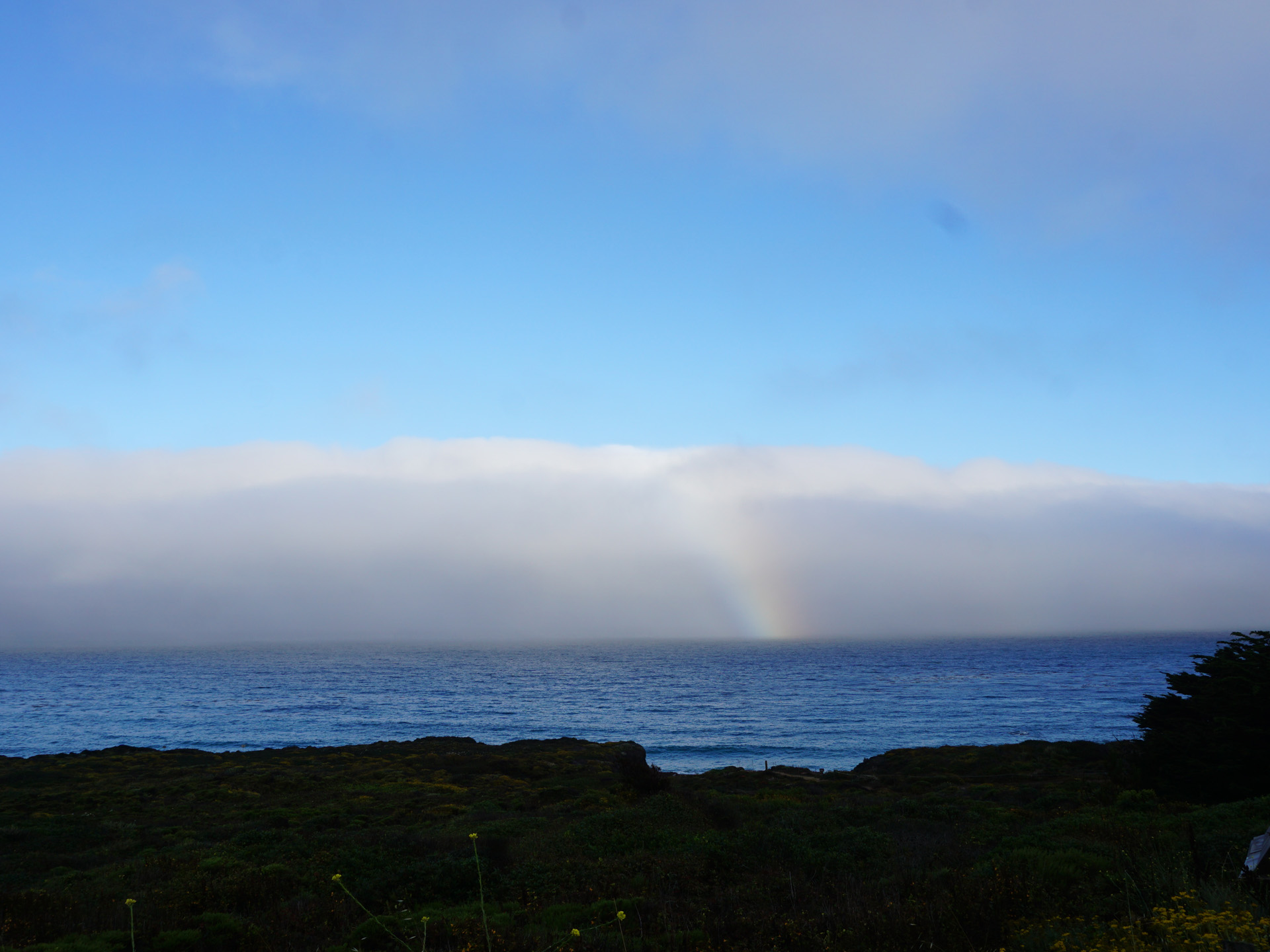 ニュートラル ビッグサー NEUTRAL BIGSUR