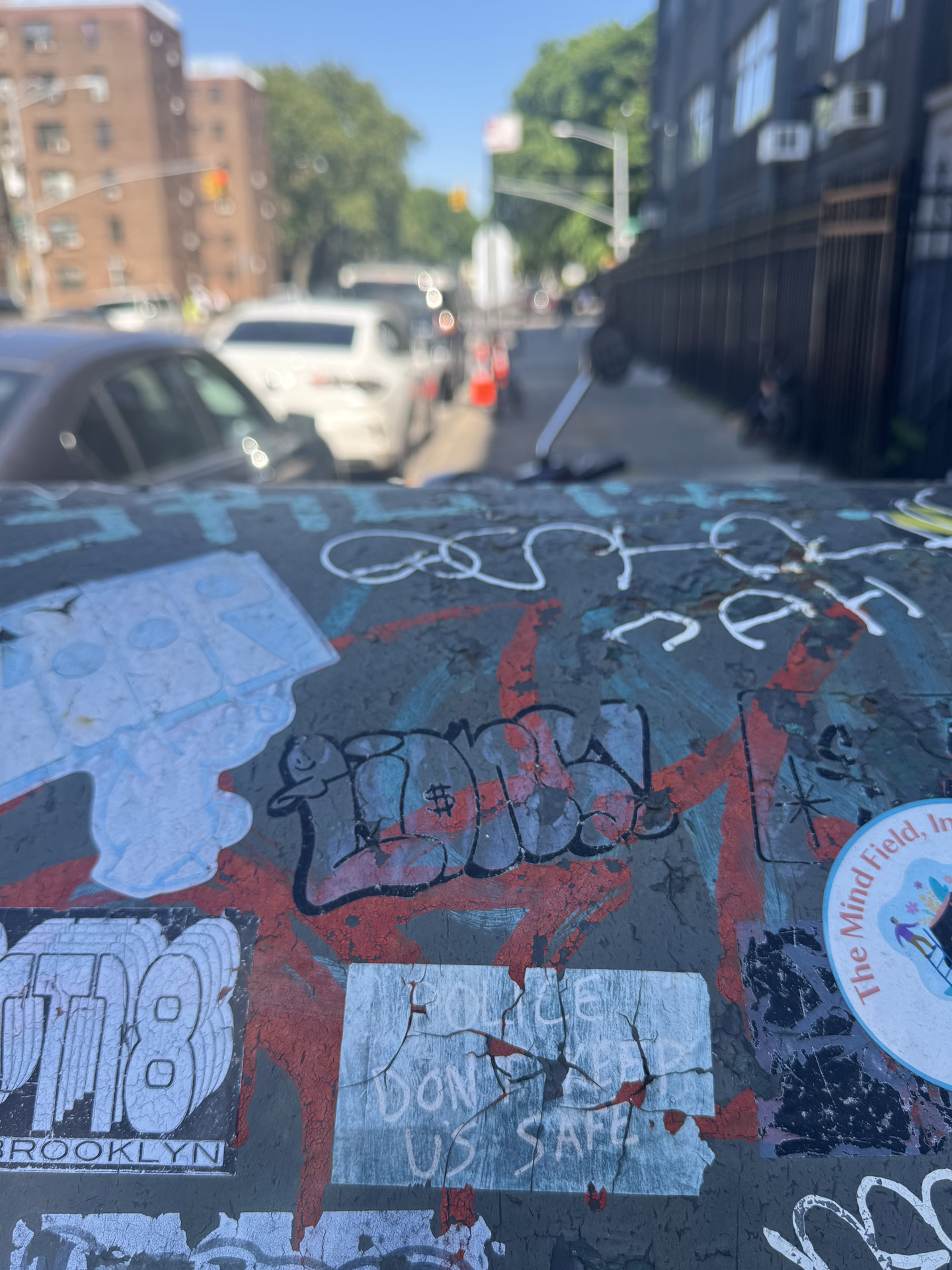 フェルナンド ライオンズ ストリートドリームス ニューヨーク ブルックリン Fernando Lions streetdreams Brooklyn