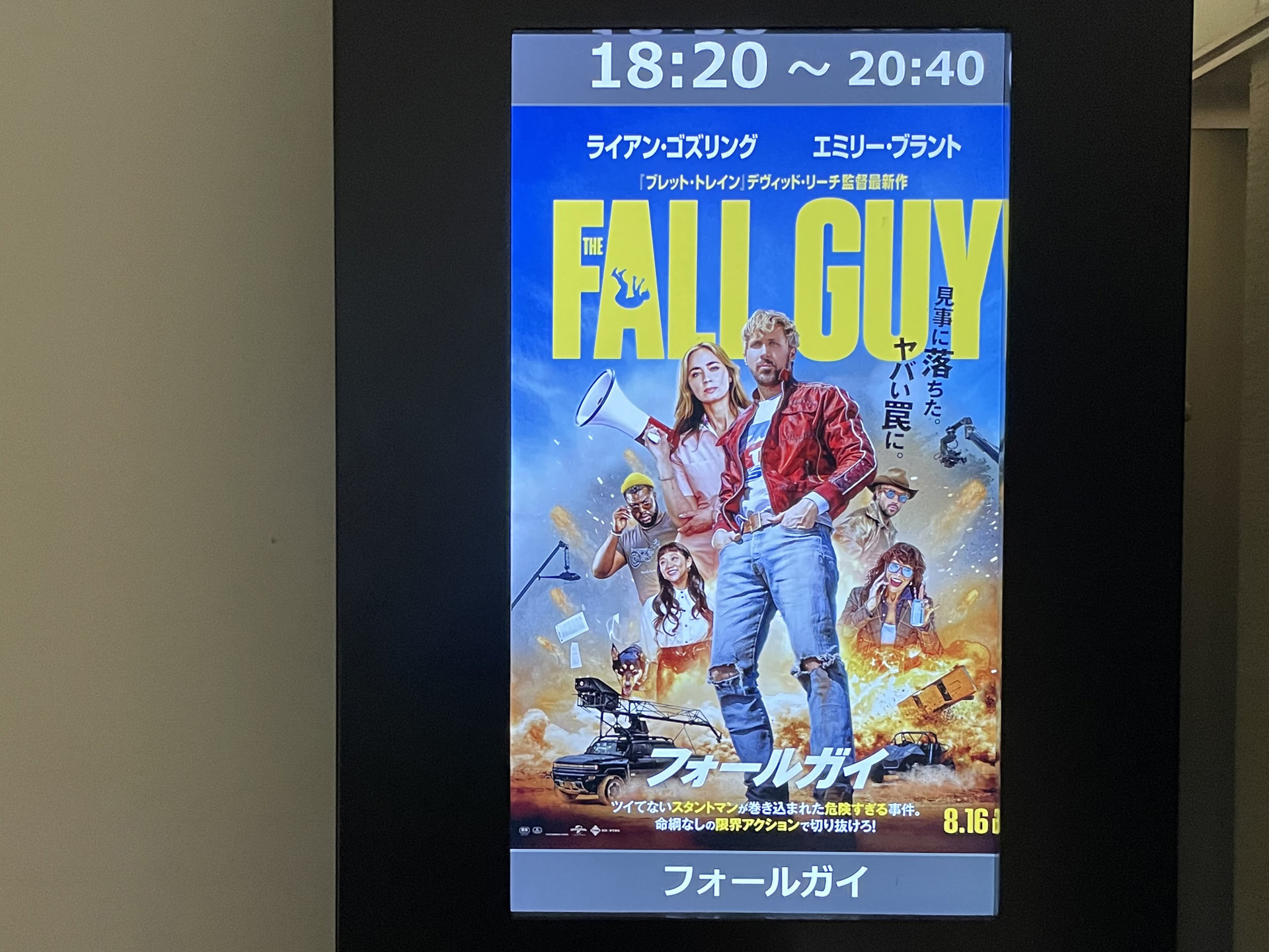 フォールガイ FALLGUY