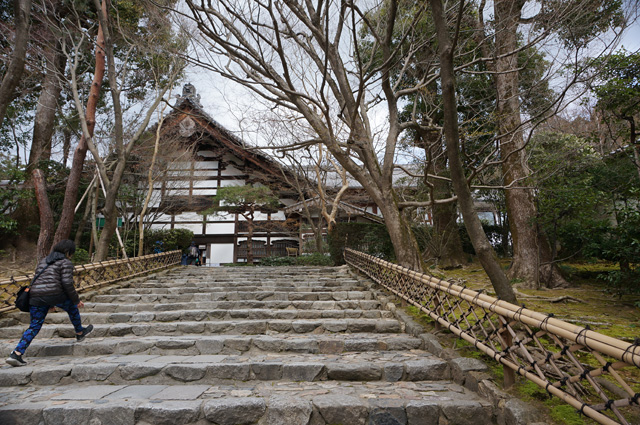 京都 kyoto 西陣 龍安寺